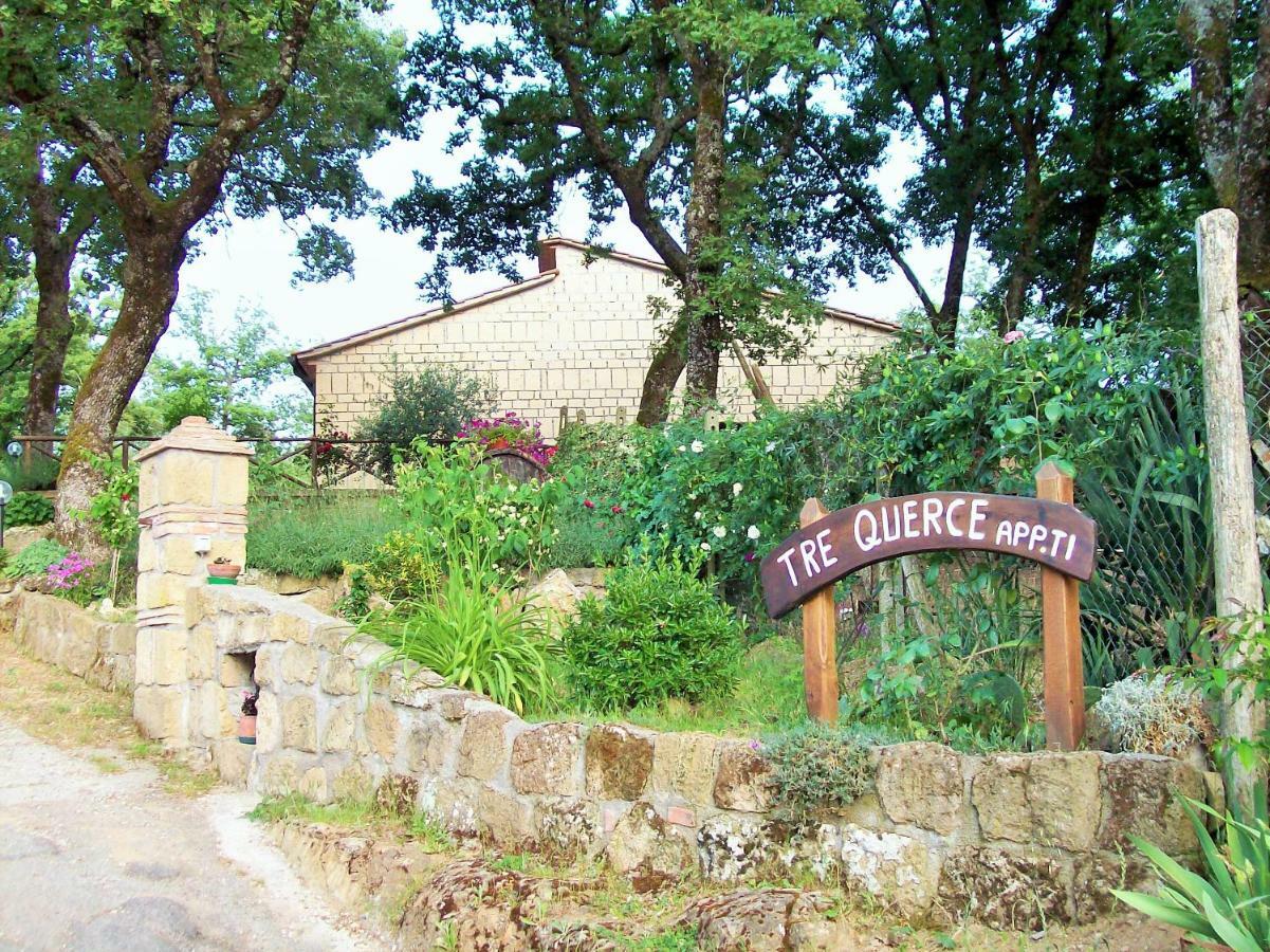 Appartamento Tre Querce Di Guerrini Patrizia Sorano  Exterior foto